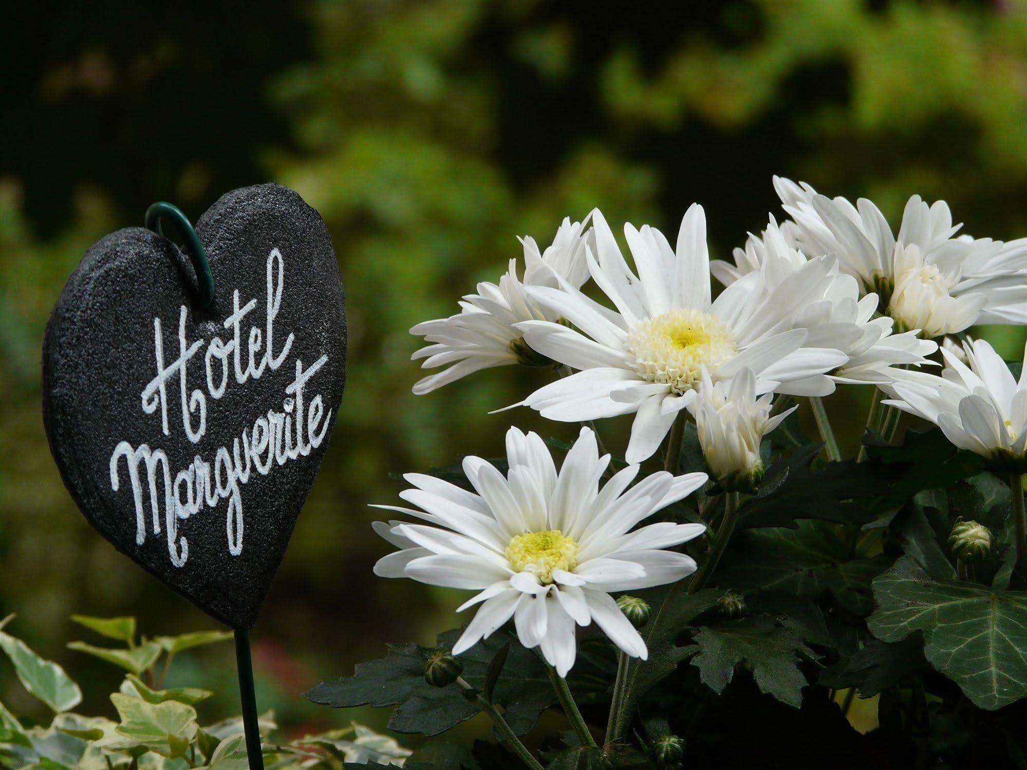 Marguerite